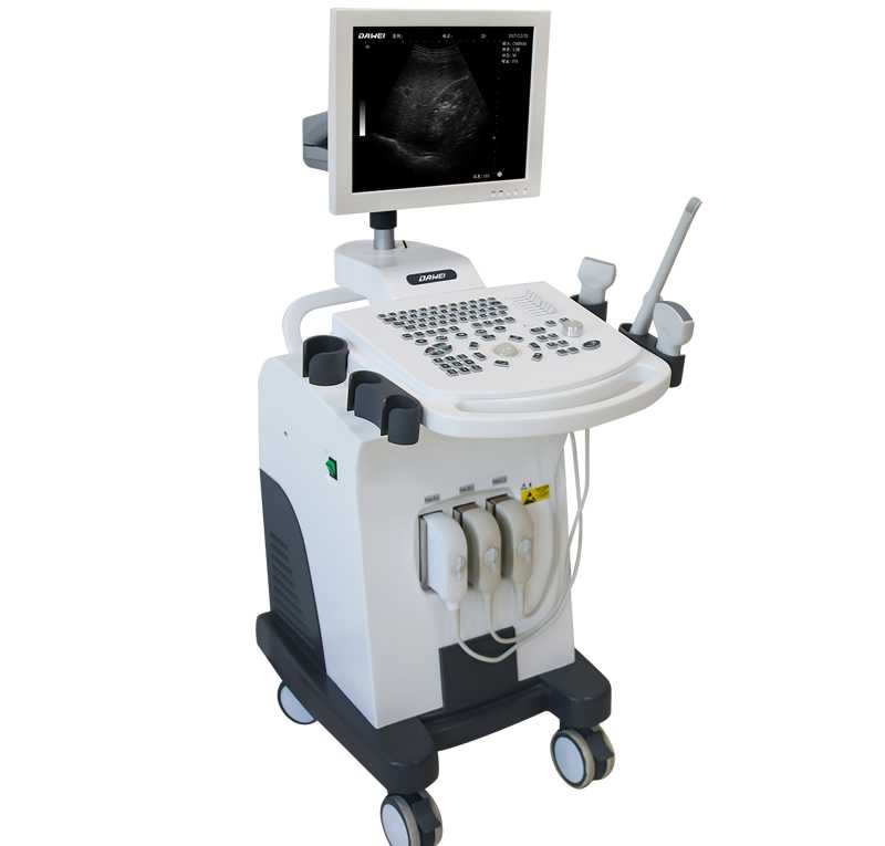 DW-370(技術(shù)版) 全數(shù)字超聲診斷儀-推車(chē)式黑白B超機(jī)